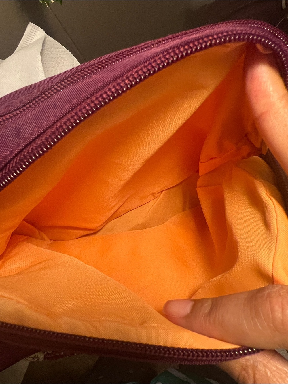 Baggallini Plum Crossbody Bag - Picture 7 of 11
